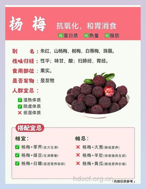 吃杨梅有讲究 这些宜忌不能忘