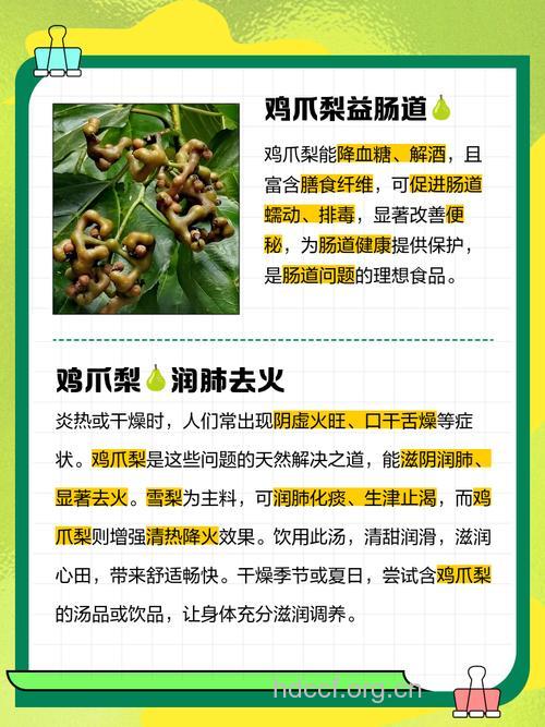 鸡爪梨怎么吃 鸡爪梨的吃法有哪些