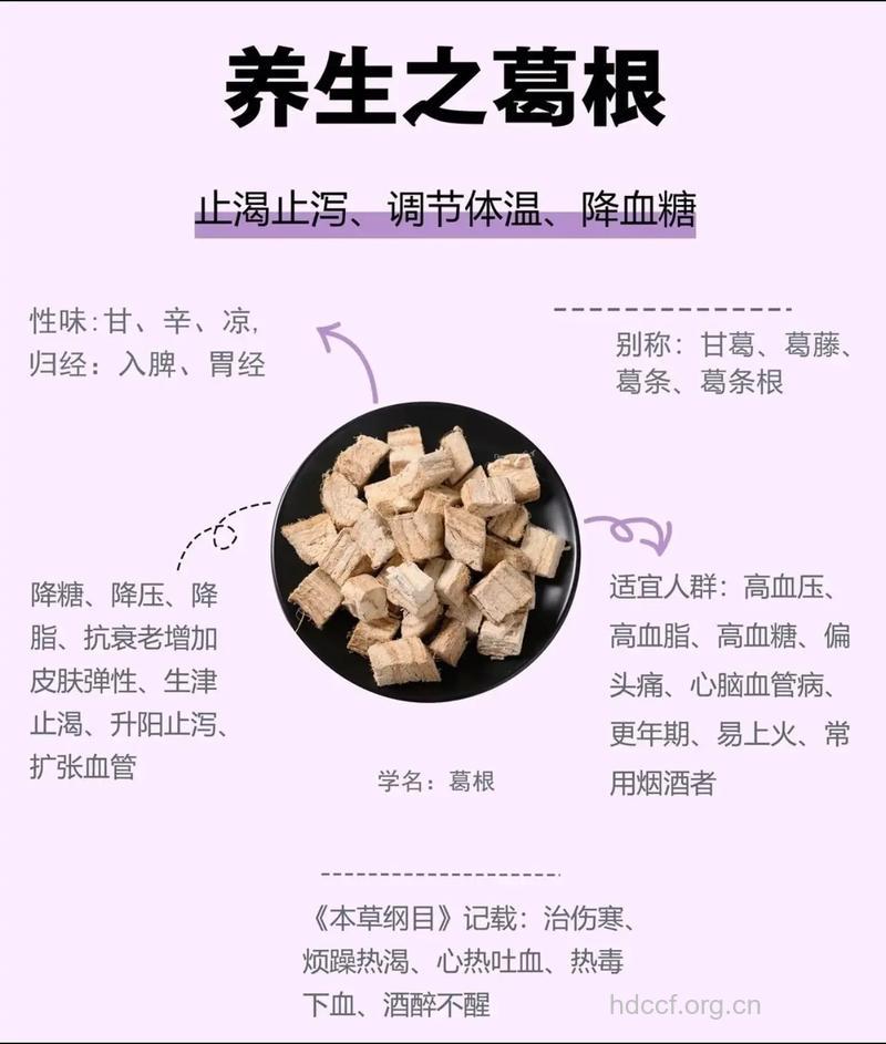 葛根的功效与作用