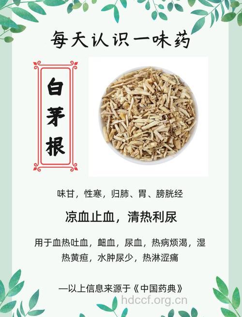 白茅根的功效与作用