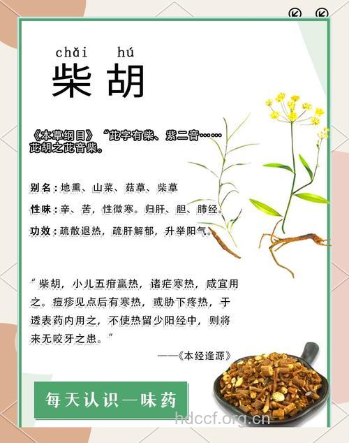 柴胡的功效与作用