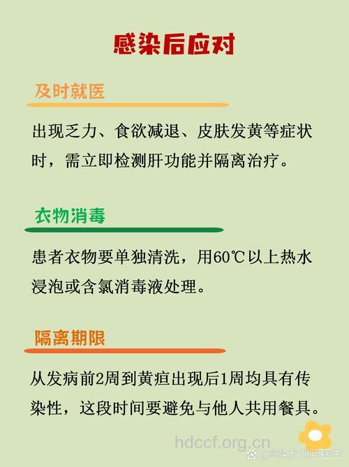 怎么预防病毒性肝炎传染方法