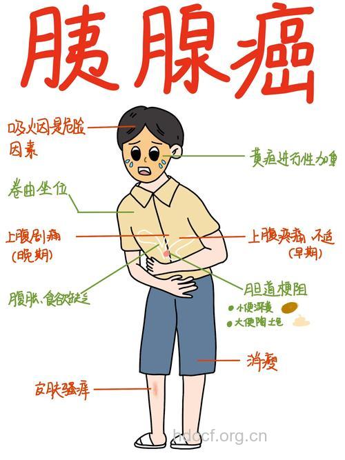 胰腺癌的病因由什么因素引起