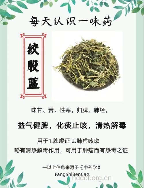 绞股蓝的功效与作用