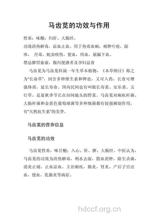 马齿苋的功效与作用