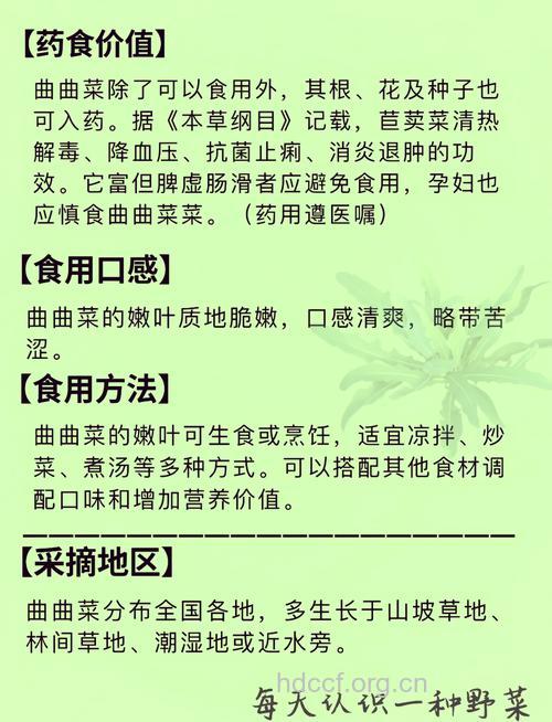 曲曲菜可以生吃吗 曲曲菜的吃法