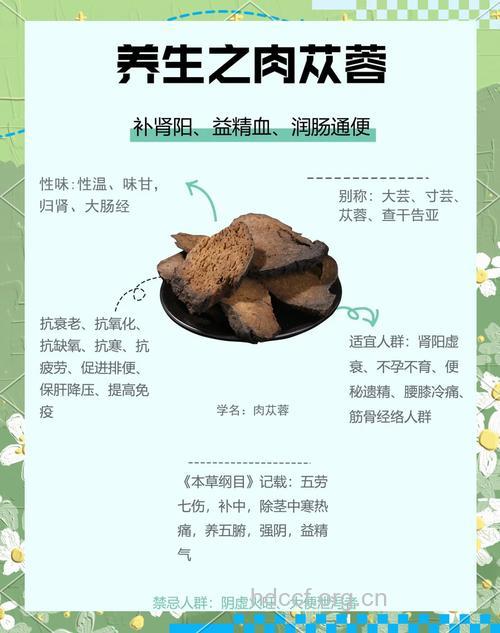 肉苁蓉的功效与作用