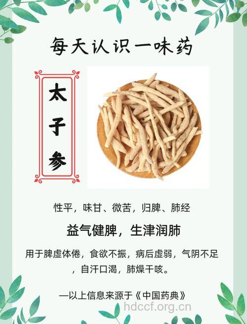 太子参的功效与作用