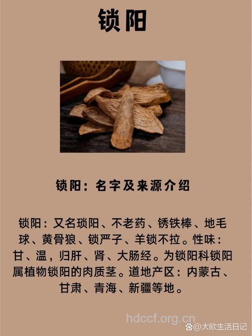 锁阳的功效与作用