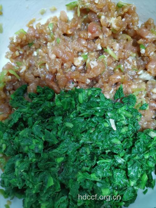 刺儿菜水饺的做法 刺儿菜水饺怎么做