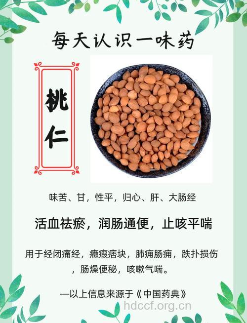 桃仁的功效与作用