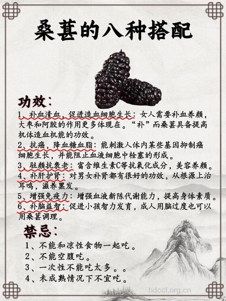 桑葚的功效与作用