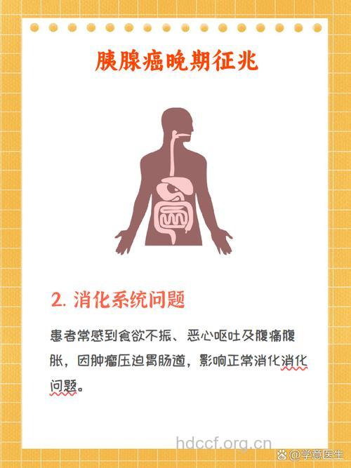 胰腺癌中晚期有什么症状