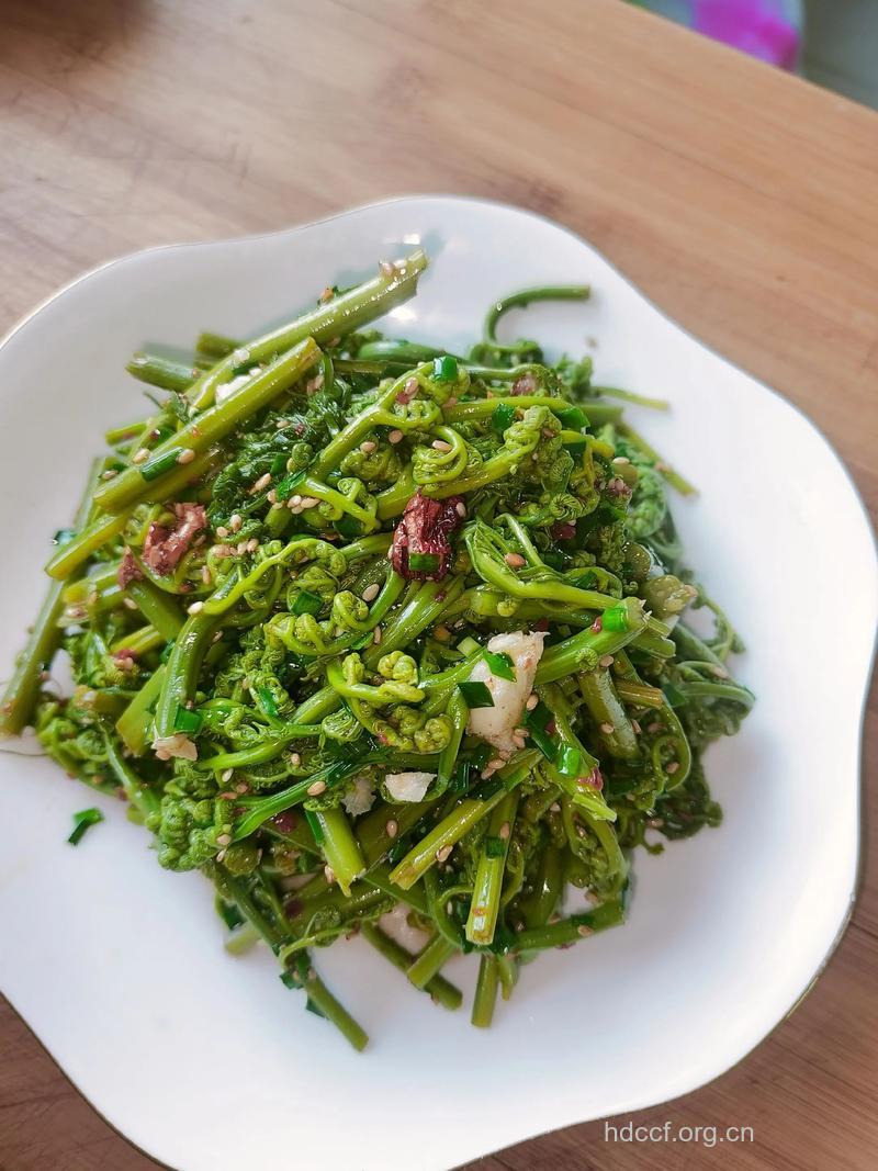 刺儿菜怎么吃 刺儿菜的做法大全