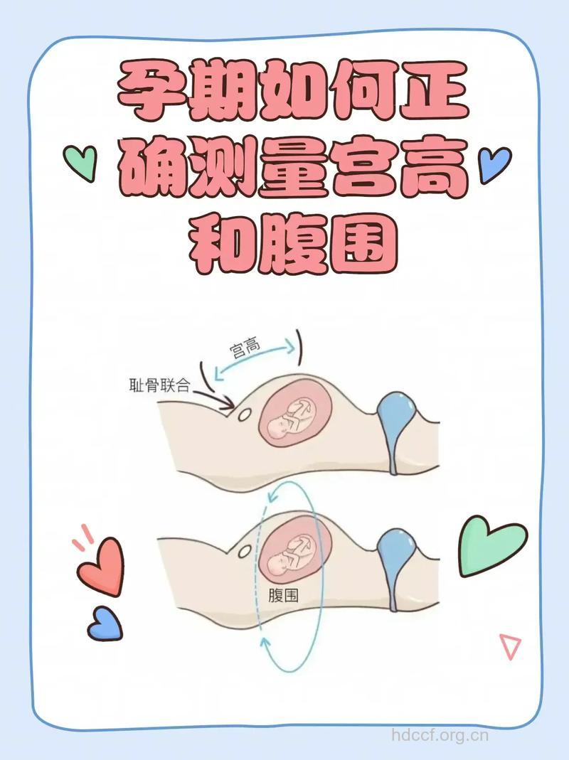 怀孕几周要做骨盆测量？