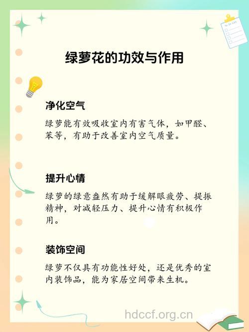 绿萝的功效与作用