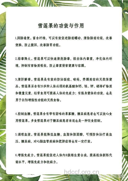 雪莲果的功效与作用