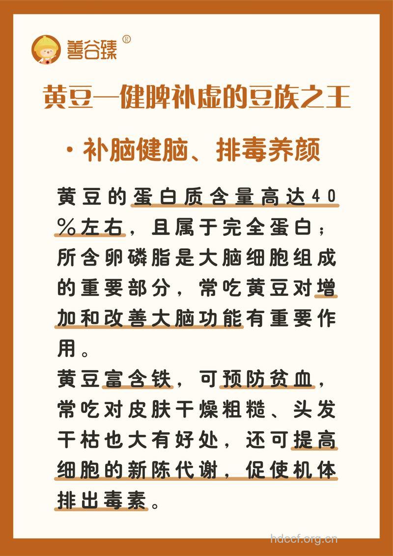 黄豆有什么功效作用？