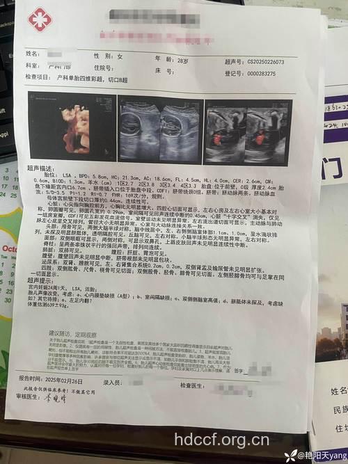 婚检后生出畸形儿,谁负责?