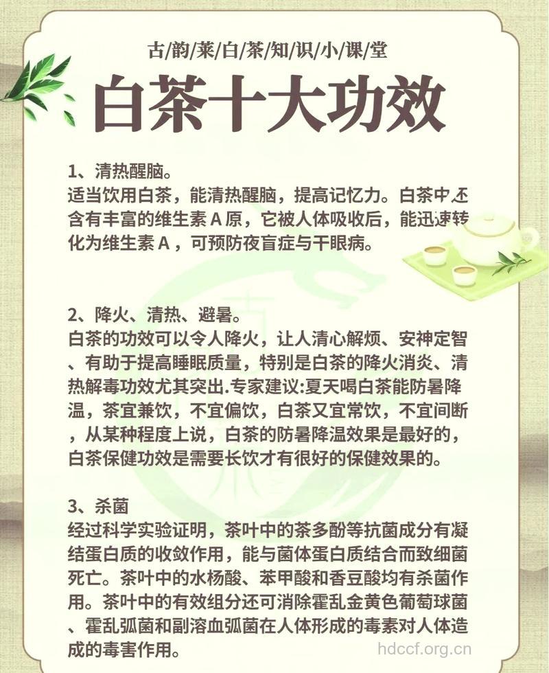 白茶的功效与作用