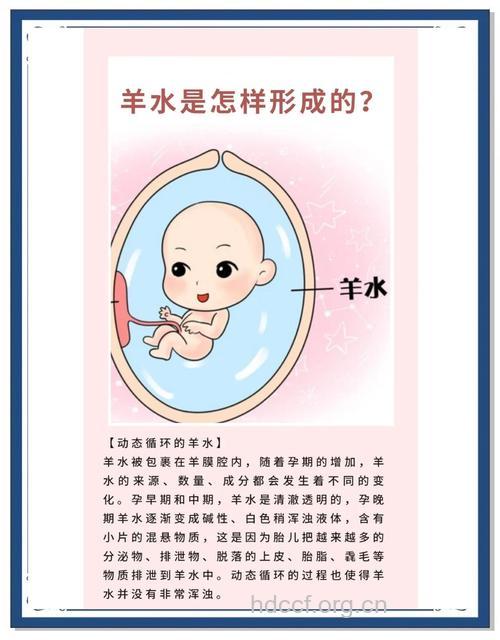 羊水――胎宝宝健康小卫士