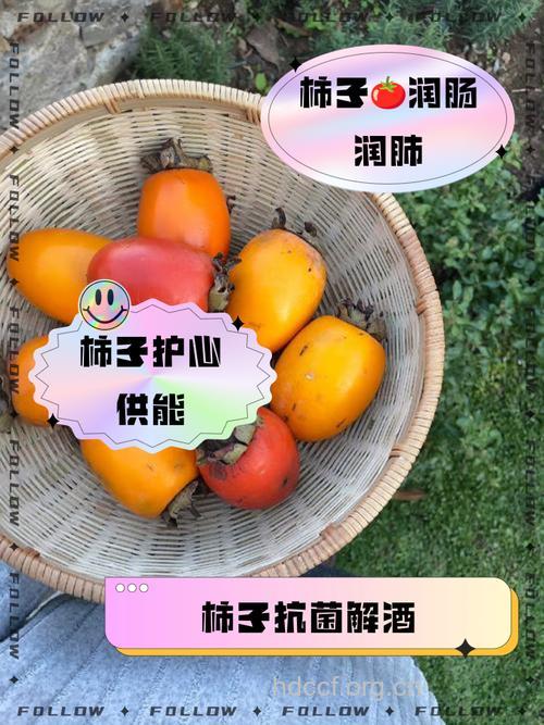 柿子是天然解酒护肝食物