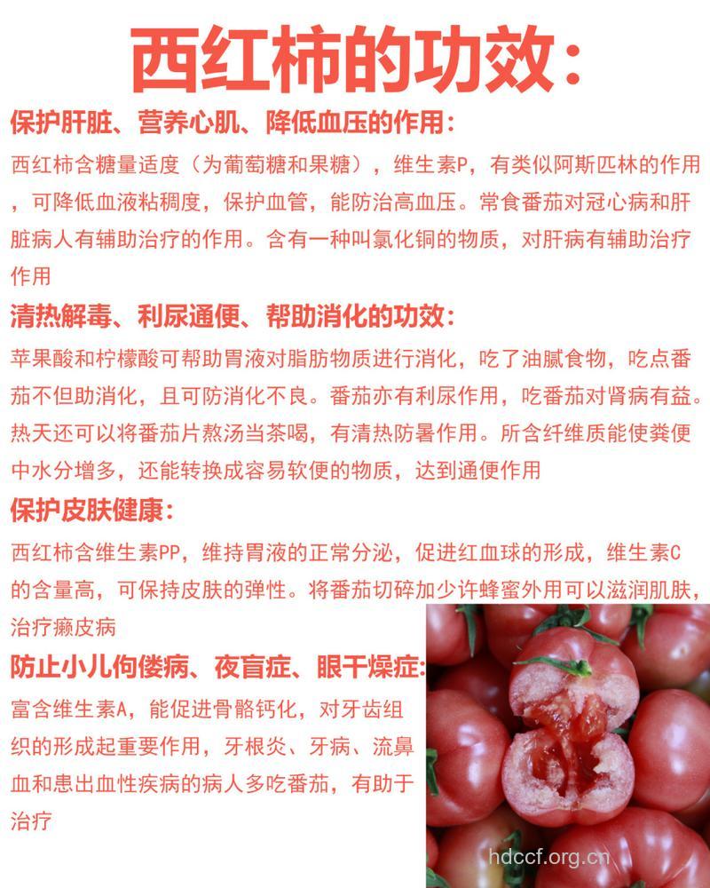 西红柿的功效与作用