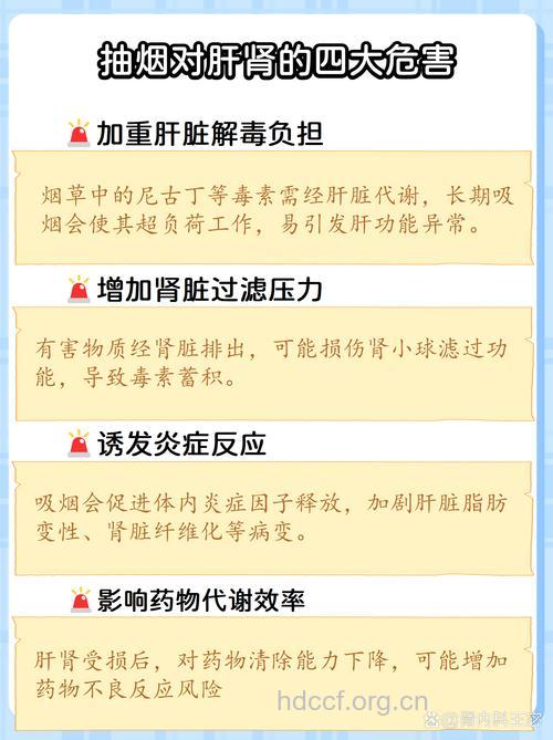 吸烟对肝脏有哪些危害