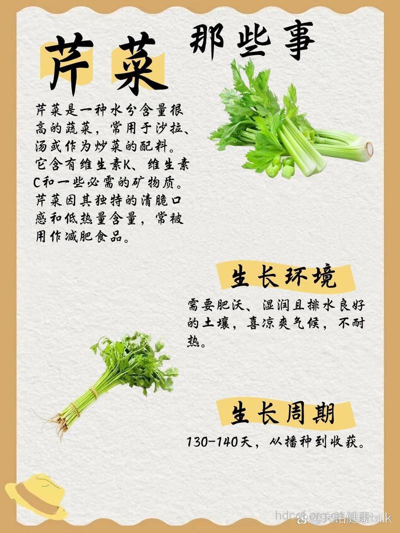 芹菜要常吃 食用它有好处多多