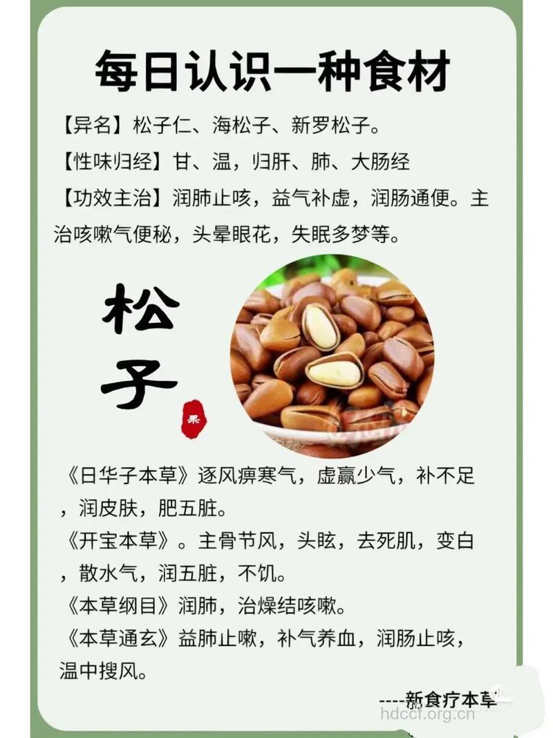 松子的功效与作用