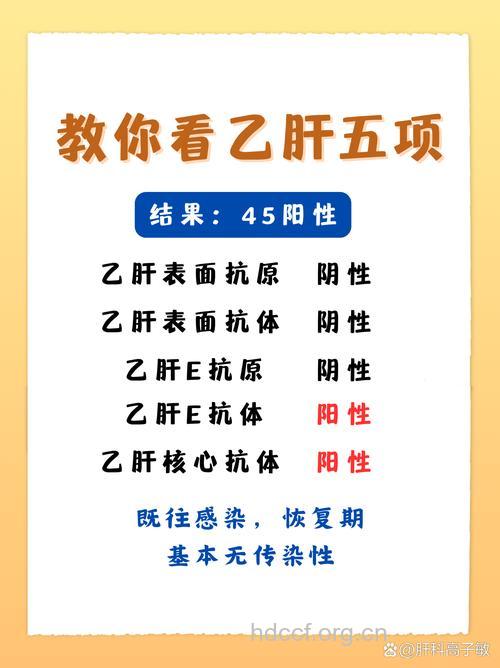 如何正视乙肝？