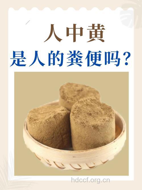 人粪的功效作用及吃法推荐