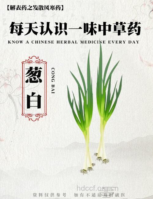 常用的葱白有什么药用功效？