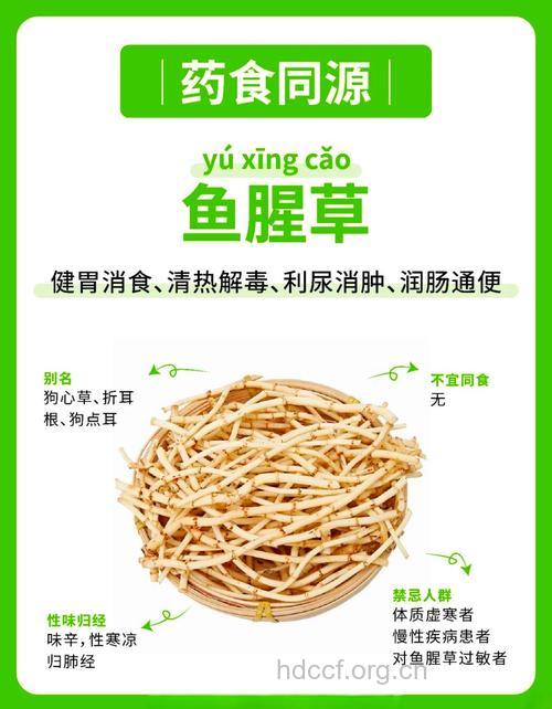 中药鱼腥草治病的6个偏方