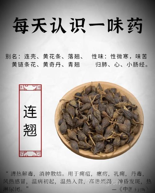 清热解毒常用的12种中药