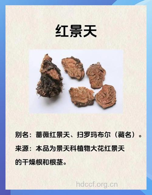 中药红景天的功效及用法