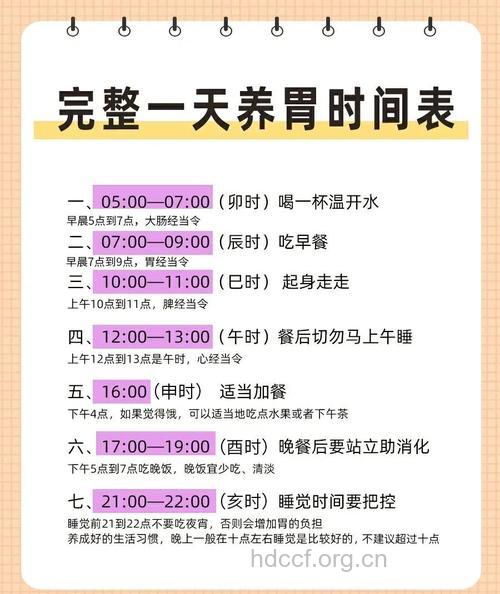 养胃看看科学养胃时间表