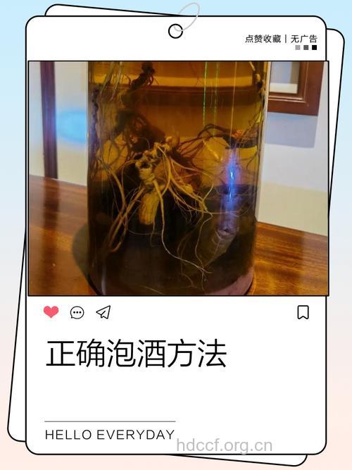 药酒如何泡制 错误泡法要了你的命