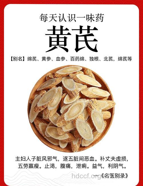 黄芪 补脾益气的良药