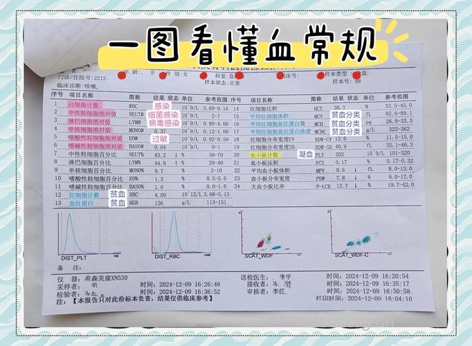 急慢性白血病有哪些检查方法