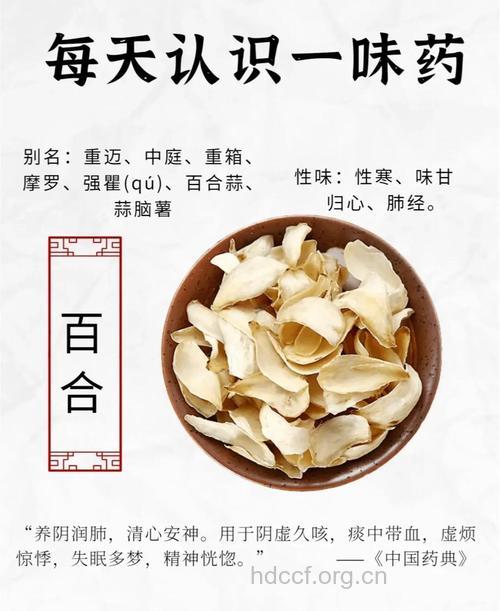 百合的功效及禁忌