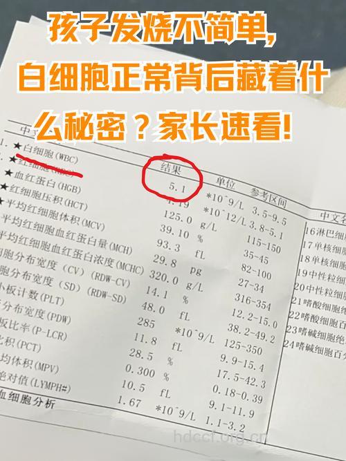 白血病怎么进行血常规检查