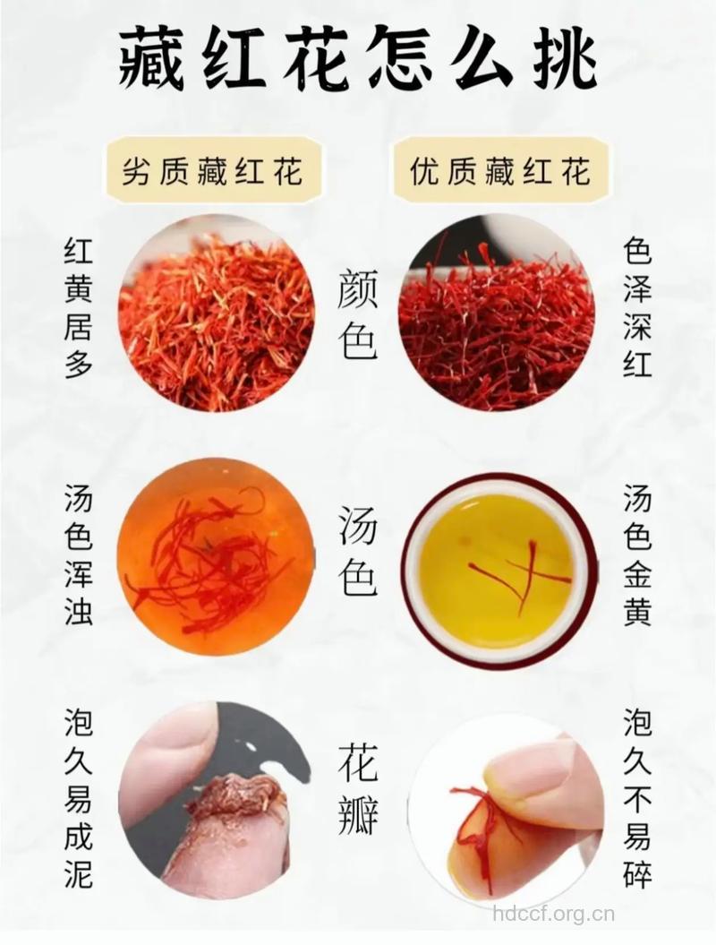 教你如何辨别藏红花的真伪