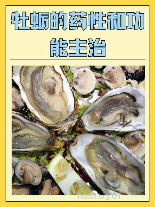 牡蛎 有助提高男性性能力