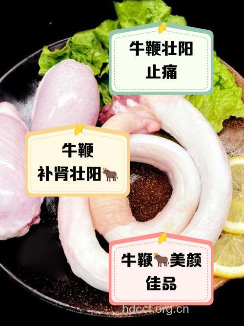 牛鞭的功效及食疗作用