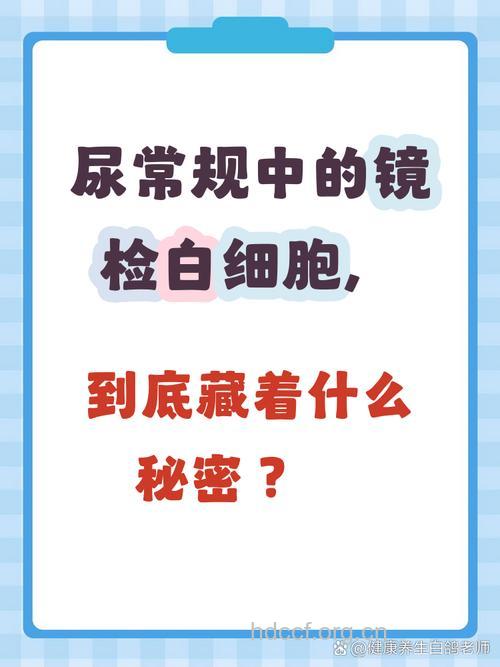 尿常规镜检白细胞时应注意什么