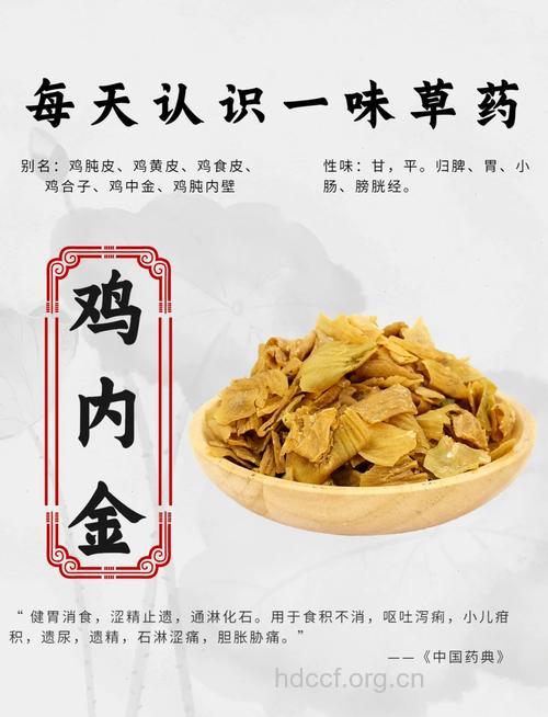 鸡内金的功效及临床应用