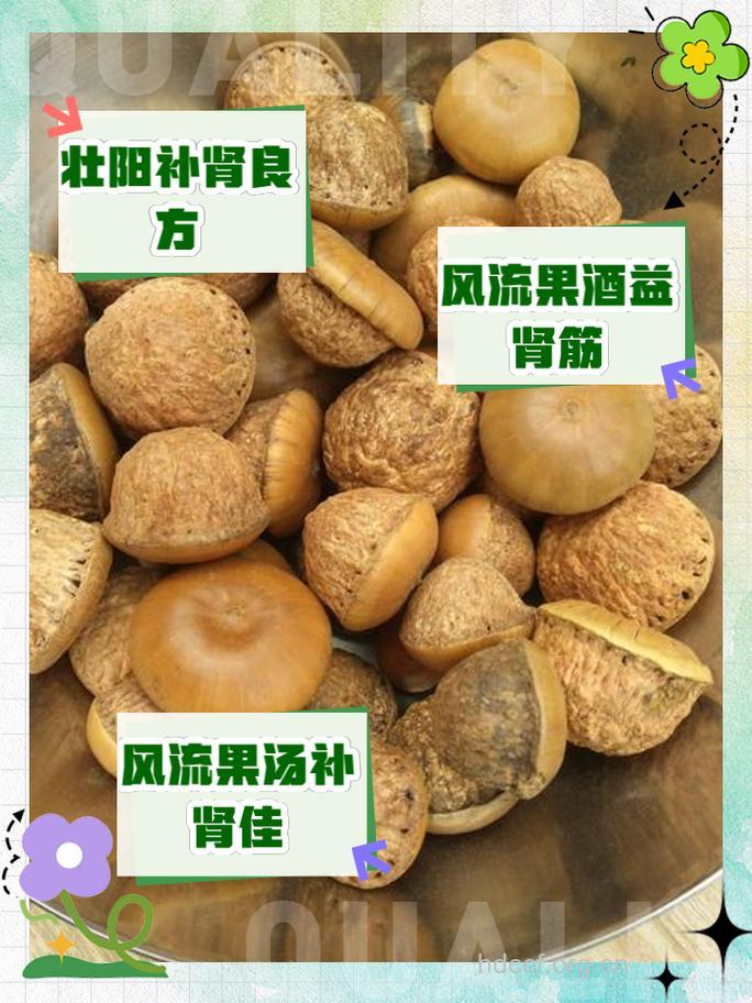 壮阳果泡酒的功效