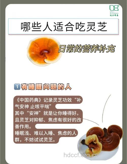 中医教你冬季巧用灵芝来进补
