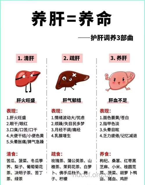 日常肝脏保健大全